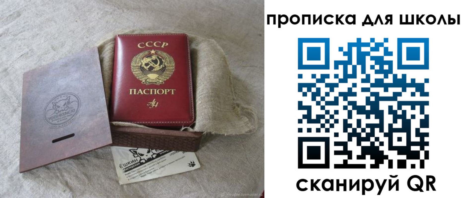 временная регистрация собственник в Челябинской области